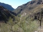 Sabino Canyon