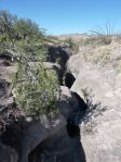 beeindruckendes Werk des Wassers im Sonoita Creek Park
