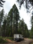 Unser Motorhome vor Sequoias