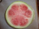 kalifornische Wassermelone