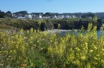 Mendocino