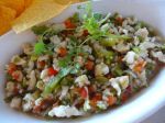 Conch Salat