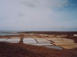 Salinas del Janubio