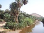 Oase von Assaka 