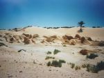tunesische Wüste