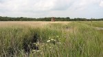 Dunwich Nature Reserve