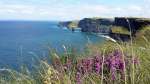 Cliffs of Moher