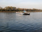 Rheinfähre bei Rhinau